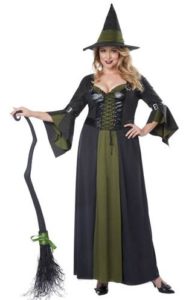 Plus Size Witch Costume for Adults