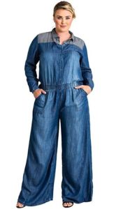 Plus Size Jean Jumpsuit with Sleeves