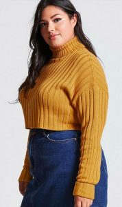 Plus Size Crop Top Sweaters