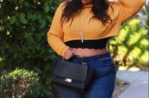 Plus Size Cropped Sweaters