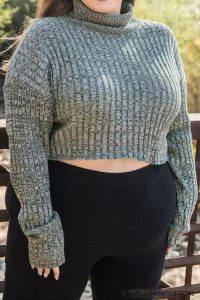 Plus Size Turtleneck Cropped Sweater