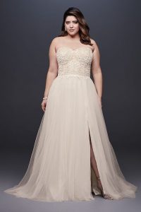 Champagne Cocktail Gown Plus Size